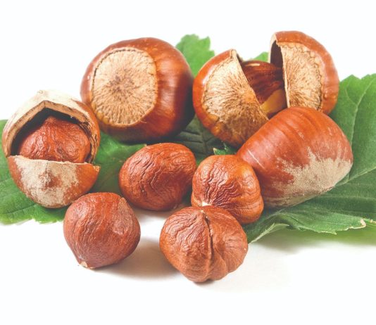 tretiranje lijeske zaštita lijeske