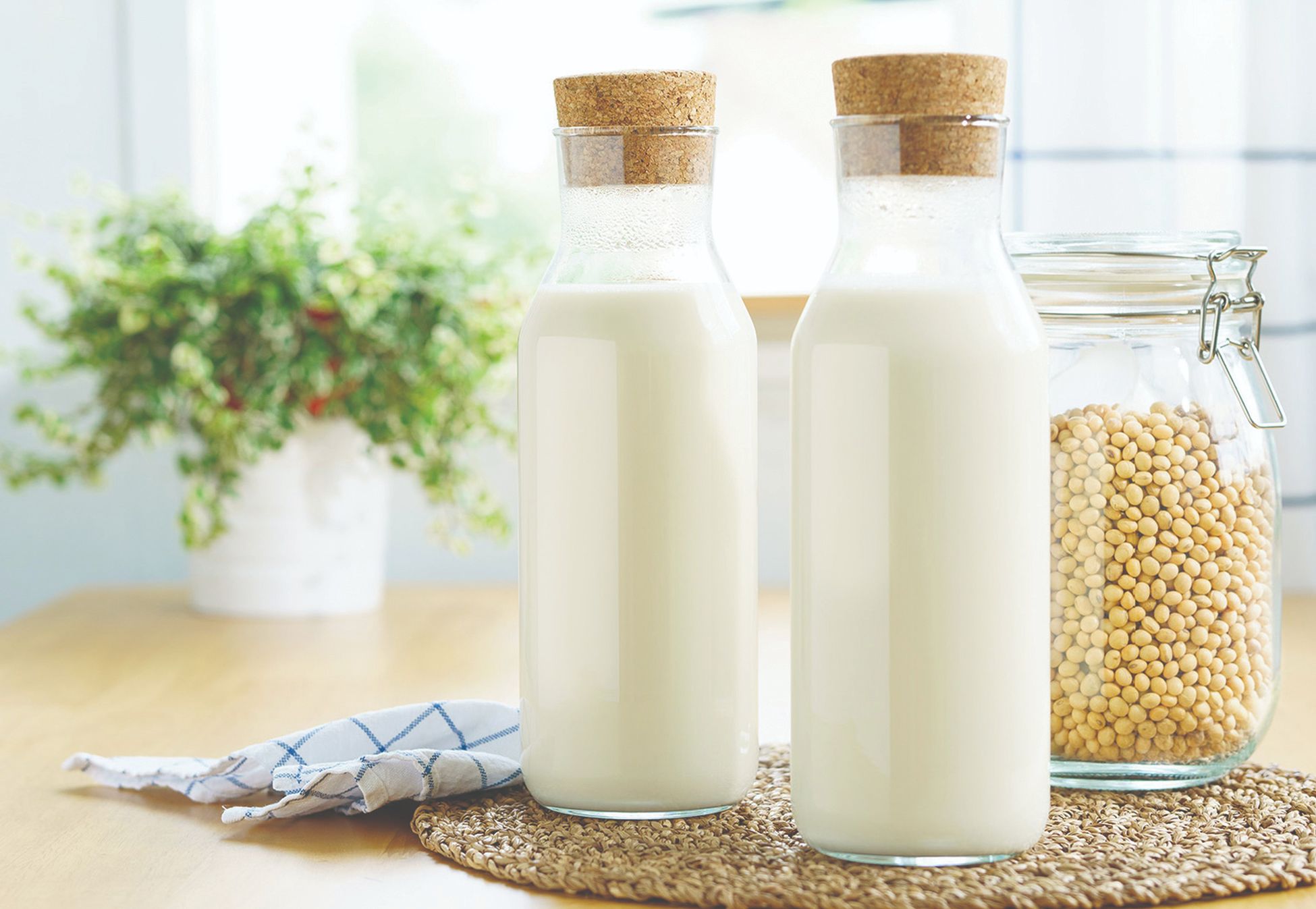 biljni napitci kao zamjena za mlijeko