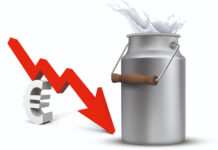 Pad EU prosječne otkupne cijene mlijeka, hrvatske cijene više