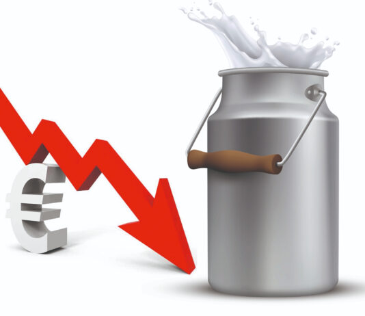 Pad EU prosječne otkupne cijene mlijeka, hrvatske cijene više