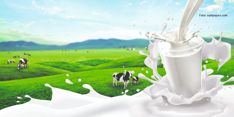 mljekarski sektor kako unaprijediti mljekarski sektor