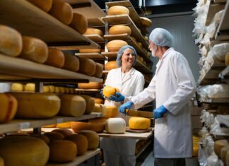 Usvojen program potpore za modernizaciju mini sirana