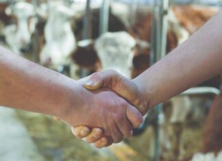 Potpore za uzgojna udruženja u stočarstvu za 2020. godinu