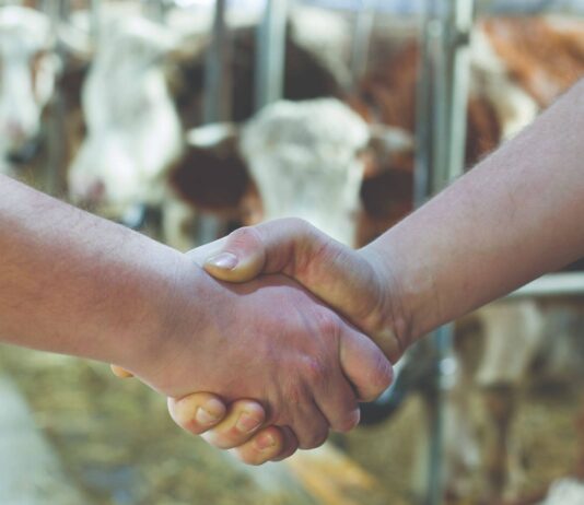 Potpore za uzgojna udruženja u stočarstvu za 2020. godinu