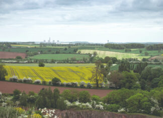 Najvažnije krmne kulture u Hrvatskoj