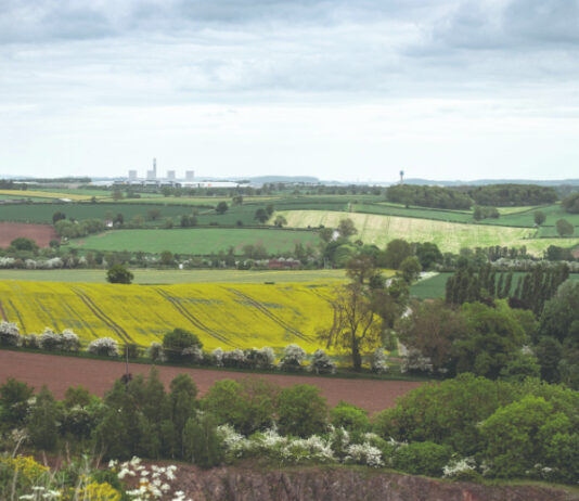 Najvažnije krmne kulture u Hrvatskoj