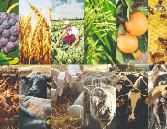 Bespovratne potpore za osiguranje poljoprivredne proizvodnje potpore za osiguranje poljoprivredne proizvodnje