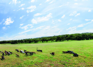 Mjere za poboljšanje hrvatskih pašnjaka