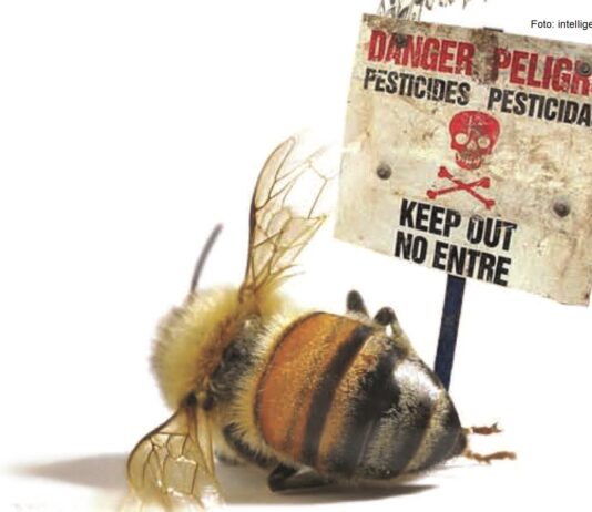 djelovanje insekticida na pčele djelovanje pesticida na pčele pesticidi i pčele
