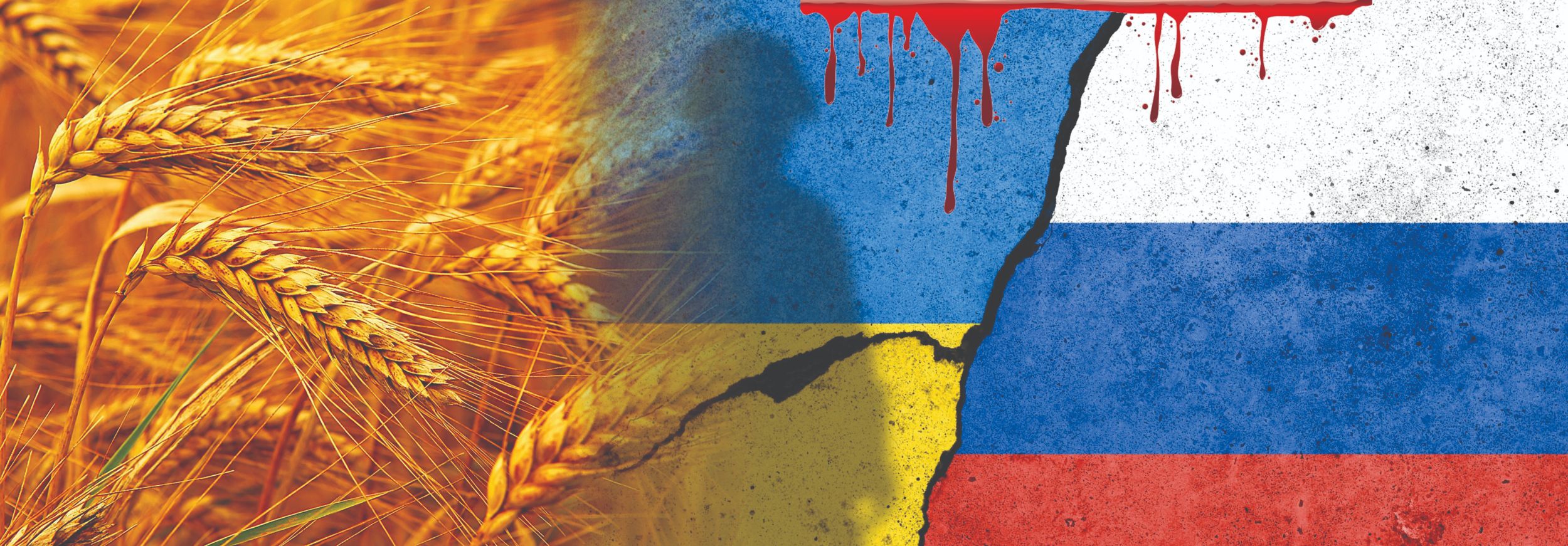 utjecaj rata u ukrajini rast cijena žitarica utjecaja rata na cijene