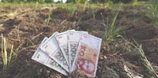 Što znače novi uvjeti za odobravanje proizvodno vezanih potpora?