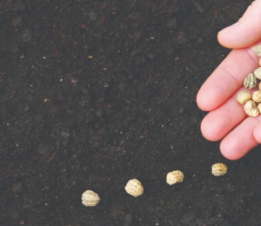 Sjeme je izvor života! Sjeme je izvor života!