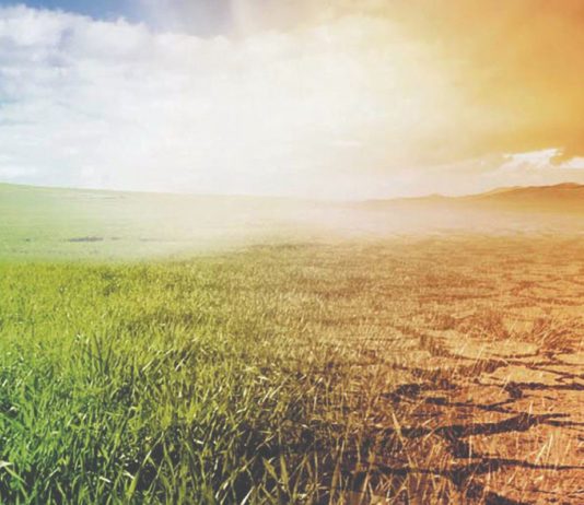 suša rast cijena hrane