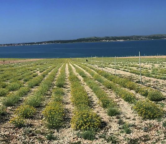sustavi navodnjavanja u mediteranskom području