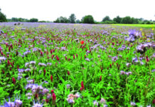 Što poljoprivrednici trebaju znati o sustavu uvjetovanosti i socijalne uvjetovanosti?