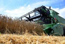 potreba pšenice za hranivima