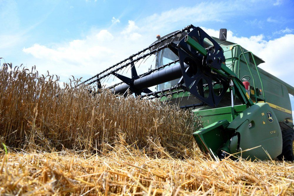 potreba pšenice za hranivima