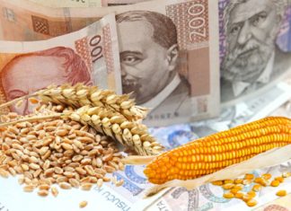 cijene pšenice i kukuruza cijene žitarica
