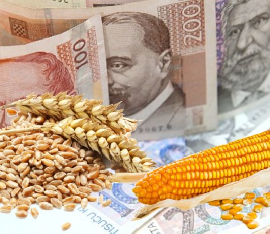 cijene pšenice i kukuruza cijene žitarica
