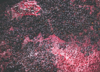 Kako ponovno pokrenuti usporenu ili zaustavljenu fermentaciju vina?