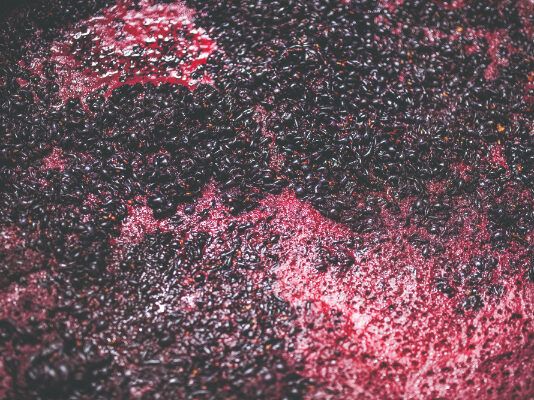 Kako ponovno pokrenuti usporenu ili zaustavljenu fermentaciju vina?