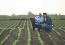 Uloga otkupljivača u lancu poljoprivredne proizvodnje i tržišta