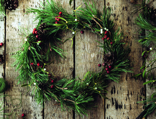 Biljke koje obilježavaju Božić: što znače i zašto su važne u hrvatskoj tradiciji?