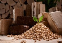 Biomasa kao prilika – od biljnih vlakana do bioplina i peleta