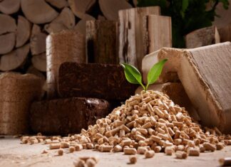 Biomasa kao prilika – od biljnih vlakana do bioplina i peleta