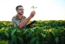 I u 2026. očekuju nas velike teškoće u zaštiti bilja od bolesti, štetnika i korova