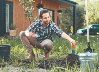 Kako pravilno saditi mlade voćke:dubina, priprema jame i najčešće pogreške