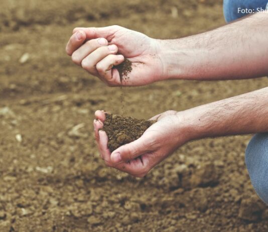 FAO Vodič za opis tla dostupan i na hrvatskom jeziku