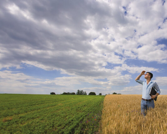 Oborine su jedan od ključnih čimbenika poljoprivredne proizvodnje oborine u poljoprivredi