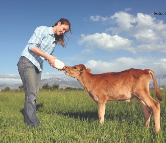 natječaj za mlade poljoprivrednike
