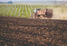 Agrotehničke mjere za uspješan uzgoj ratarskih kultura