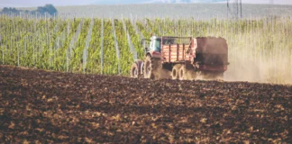 Odabir gnojiva i gnojidba u ekološkoj proizvodnji