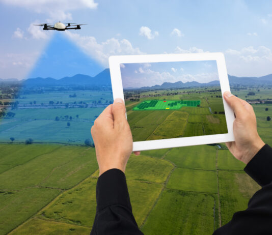 Procjena stresa i stanja usjeva pomoću vegetacijskih indeksa