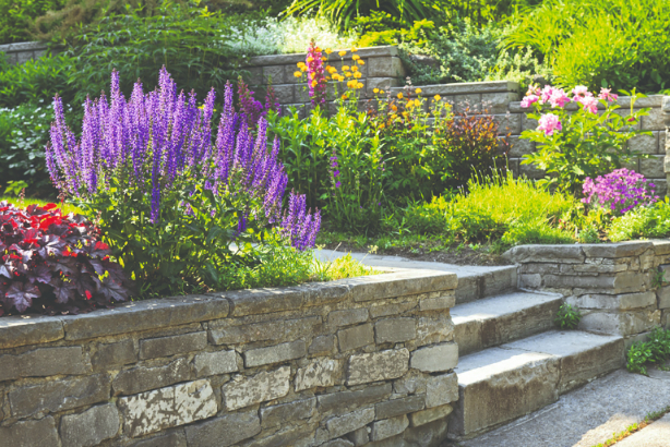 naslovna shutterstock_92525983