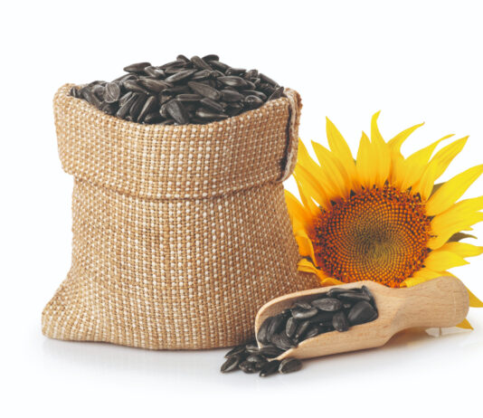 Ljekovitost sjemenki suncokreta
