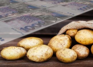 100 milijuna kuna za spas proizvodnje krumpira!