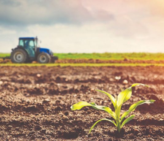 natječaj za zakup poljoprivrednog zemljišta