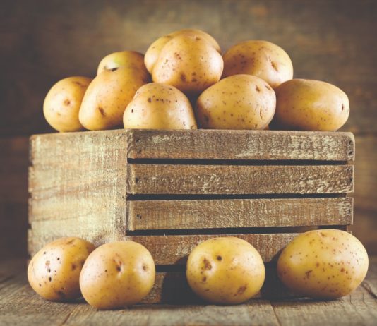 čuvanje krumpira skladištenje krumpira kako čuvati krumpir