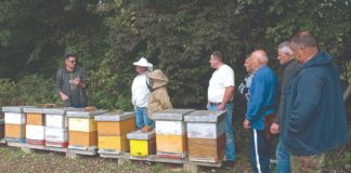 educiranje pčelara pčelinje boelsti bolesti pčela