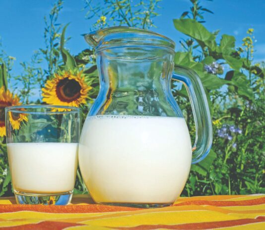 Koliko zapravo košta proizvodnja mlijeka?