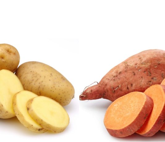uzgoj batat i krumpira batat krumpir
