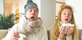 prehlada gripa viroza zimske bolesti