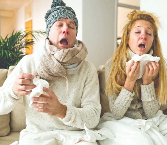 Prehlada i gripa prijete prehlada gripa viroza zimske bolesti