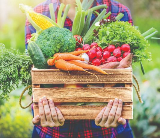 Je li ekološko gospodarenje održivo? ekološko gospodarenje webinar