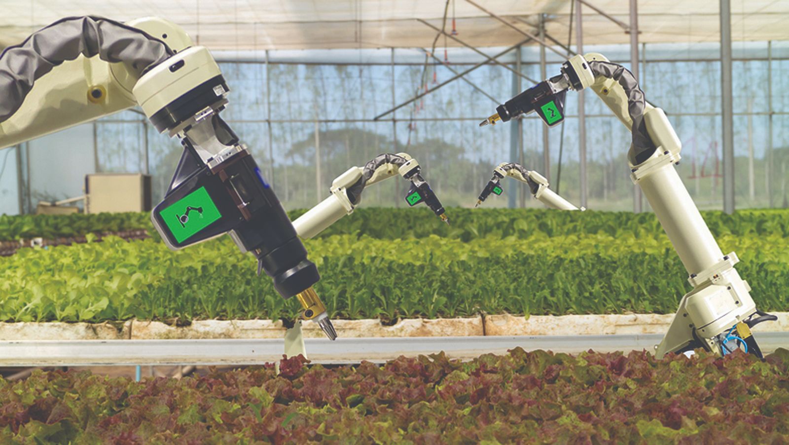 umjetna inteligencija u poljoprivredi digitalna poljoprivreda