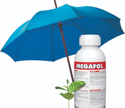 Mraz? Tuča? Suša? Megafol je rješenje!